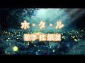 ホ・タ・ル~唄 桂 銀淑 (韓国出身の女性トロット歌手、演歌歌手である。多くの音楽賞を受賞。)