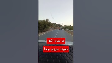 قرآن كريم بصوت مريح ألم تر إلى ربك #قرآن #قران_كريم #quran #اكسبلور #جمعة_مباركة