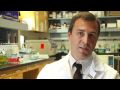 Dr david dawson a pancreatic cancer researcher with uclas jonsson comprehensive cancer