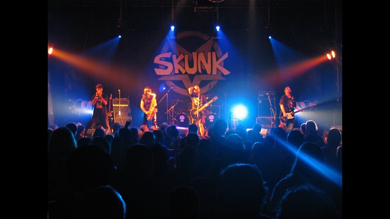 Un an avec les Skunk