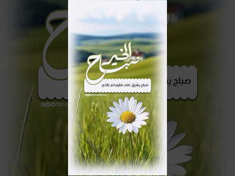 صباح يشرق على قلوبكم بالخير ويضيء دروبكم بالأمل ويملأ أيامكم بالبركة صباح الخير دعاء الصباح