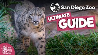 San Diego Zoo Full Tour 2022 All Animals Exhibits Food More