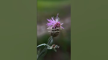 قران كريم ارح قلبك وسمعك #قران_في_دقيقة #رعد_الكردي #quran #قرآن @قران_في_دقيقة