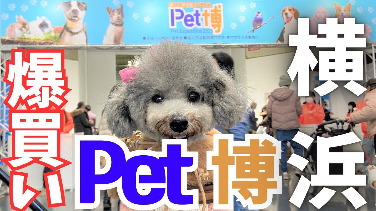 【Pet博横浜】大混雑のペット博横浜で爆買い！視聴者さんにも会えてビックリ🐶💕inパシフィコ横浜【前編】