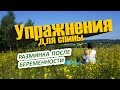 Комплекс упражнений для спины | Разминка после беременности