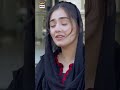 I Earn Only For You Danishtaimoor Durefishan Shorts Kaisiterikhudgharzi 