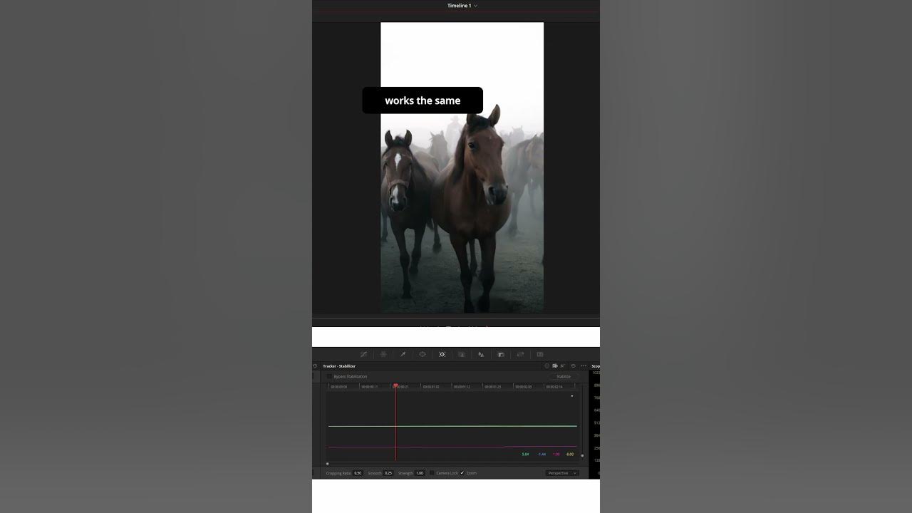 VIDEO STABILIZER in DaVinci Resolve. shorts YouTube