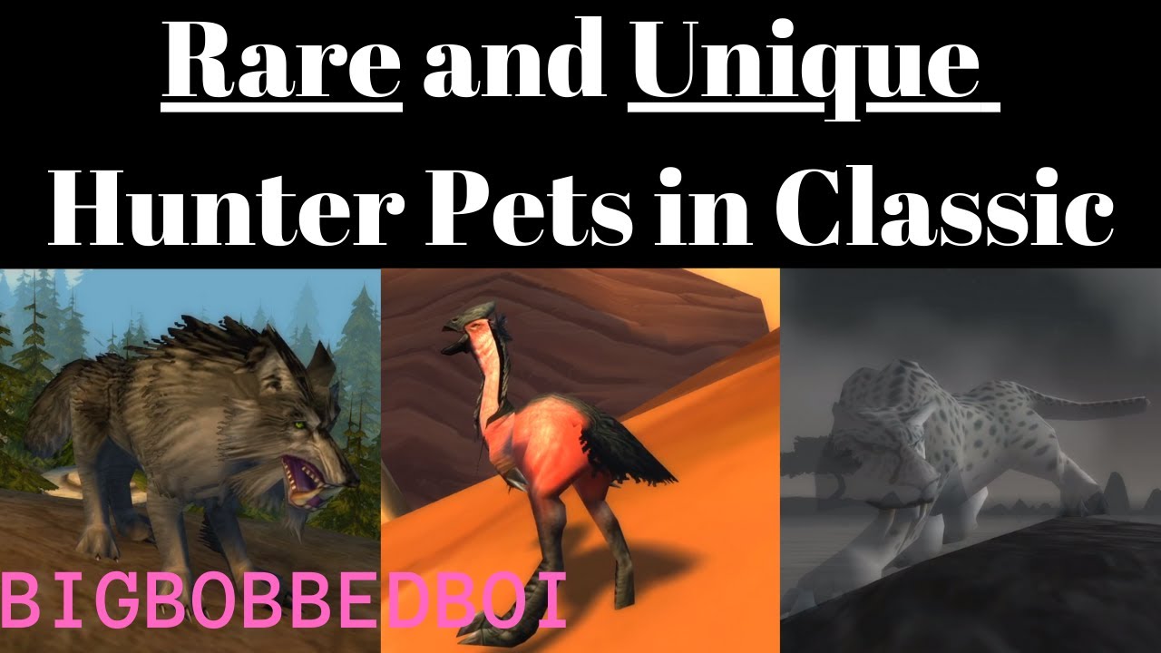 Rare and Unique Hunter Pets in WoW Classic - YouTube