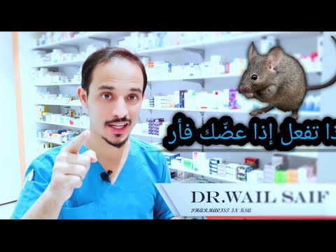 فيديو: هل تعض الفئران الحقلية؟