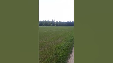 #nature #life #travel #sun #summer #love #like #shortsvideo #short #shortvideo #shorts #sky #sunset