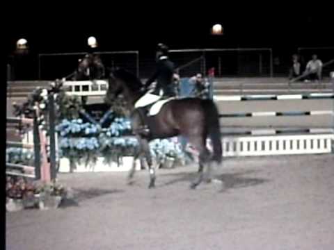 Janet Hischer & Silvester V, Winning the March 2009 Grand Prix Show Jumping, Scottsdale AZ.