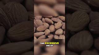 Almonds' Thirst: Why These Nuts Drain Water in Dry Climates? #shorts