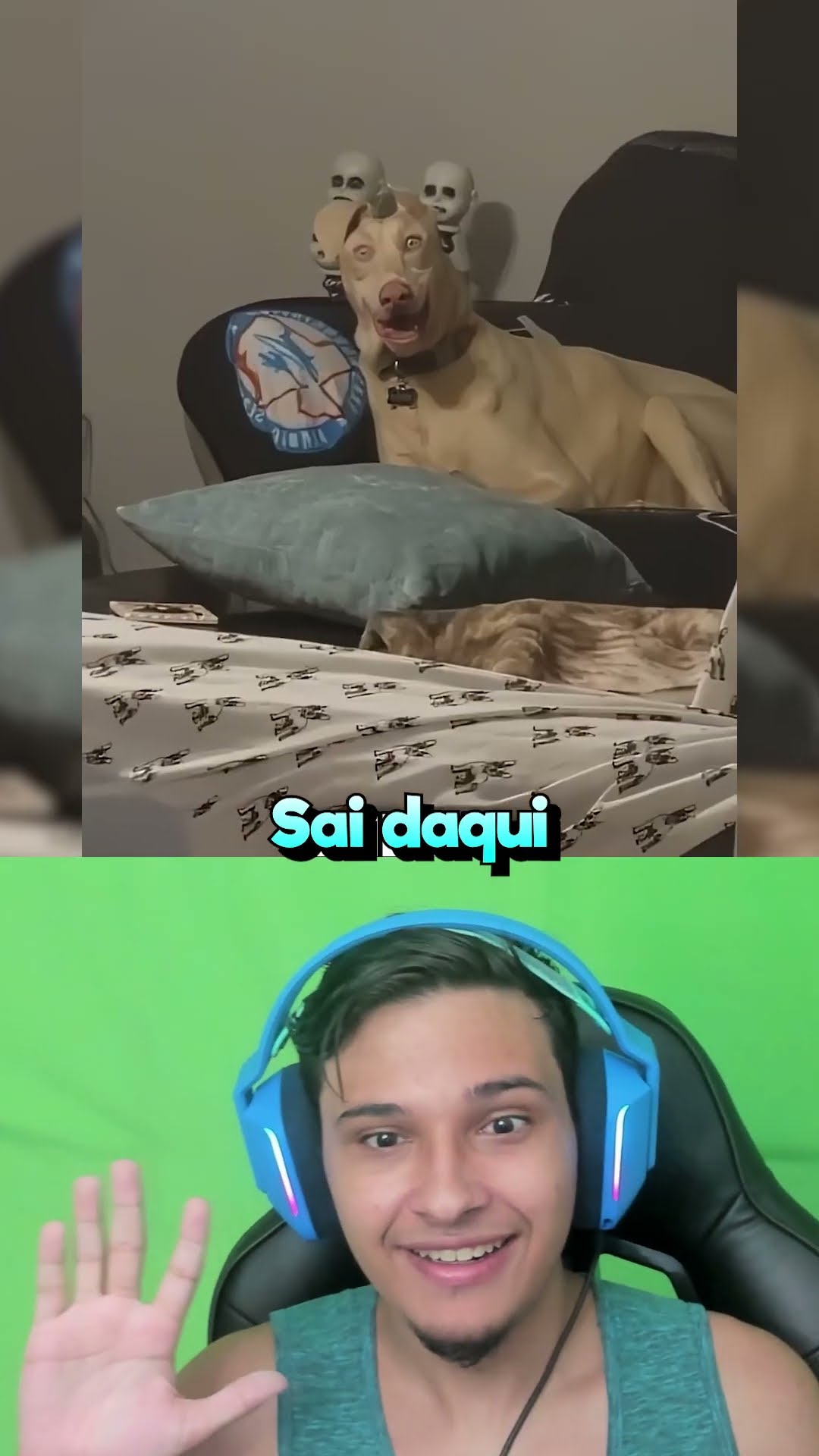 “Cachorros Não São Assustadores”