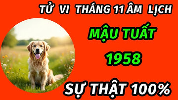 Tử vi tuổi mậu tuất 1958 trong tháng 11 âm lịch bão lộc đổ về mở ra cơ hội vàng đổi đời hiếm có 