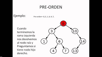 arboles binarios video.mp4