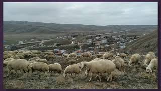 Abdullah Papur    Kimi seviyorsun söyle Nazlı yar. Resimi