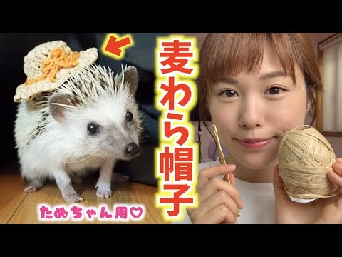 DIY】超ミニサイズの麦わら帽子作ってみた！たぬちゃんに