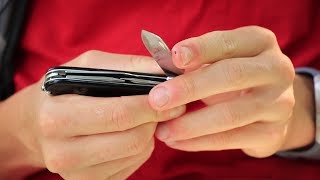 WILDsides: How to Sharpen a Knife