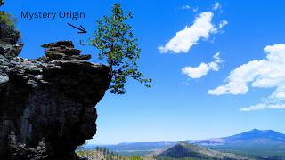 The Mystery of the Floating Tree