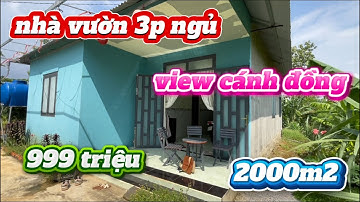 ( đã bán ) TIẾC NUỐI CŨNG ĐÀNH BÁN CĂN NHÀ VƯỜN XIN XIN VIEW CÁNH ĐỒNG BÁN HẾT 2000m2 giá 999tr