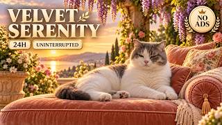 24 HOURS Cat TV to Soothe Anxiety & Boredom | Calming Music for Cats screenshot 1