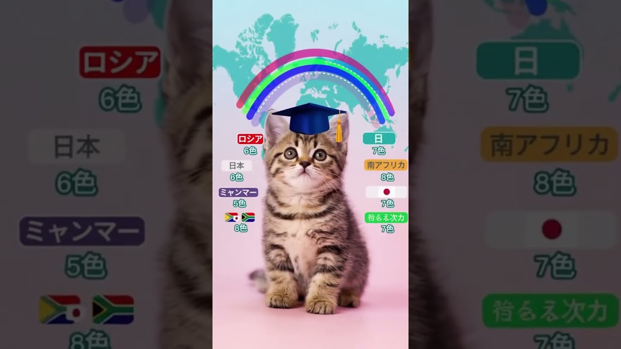 虹は7色じゃない？子猫が教える世界の色彩文化