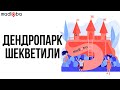 Дендропарк Шекветили / Shekvetili Грузия. Стоит ли ехать в дендрологический парк в поселке Шекветили