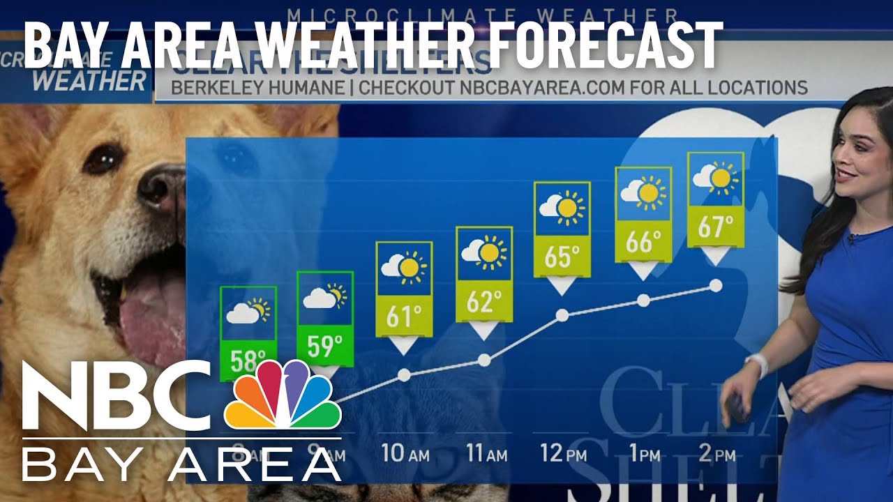 Saturday Forecast: Sunshine on the Way - YouTube