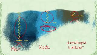 wenn der wald verschwindet, stirbt das meer: 08 photosynthese unter wasser