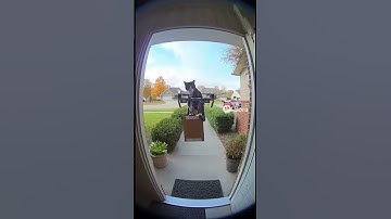 get tf outta here🤣 #ai #funny #openai #sora #memes #viral #comedy #foryou