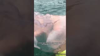 Pouco Do Meu Dia Em Arraial Do Cabo