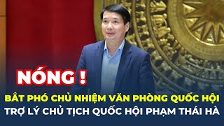Trợ lý Chủ tịch Quốc hội Phạm Thái Hà BỊ BẮT | CafeLand