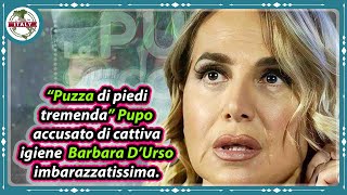 Puzza Di Piedi Tremenda Pupo Accusato Di Cattiva Igiene Barbara Durso Imbarazzatissima