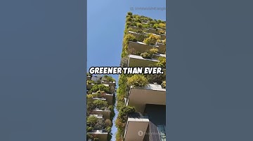 Pro-Environmental Mass Timber Tall Buildings #SustainableCities