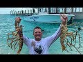 MASSIVE Lobster {Catch Clean Cook} A new way to Clean and Cook!!!