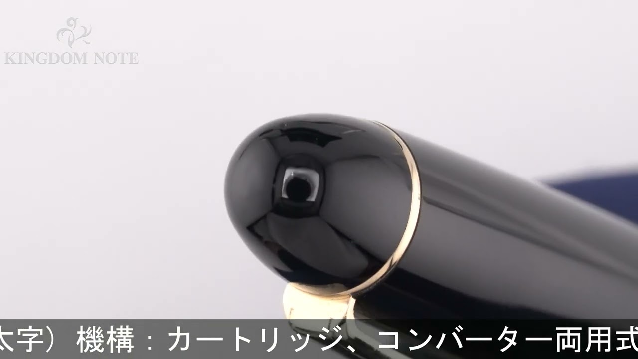 PLATINUM プラチナ 万年筆 #3776 センチュリー ブラックインブラック 