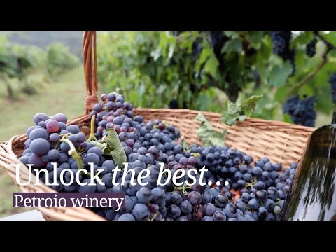 Fattoria di Petroio: The story of a traditional Italian winery