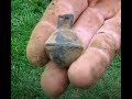 Metal Detecting in England. Short Notice Hunt Invitation!!