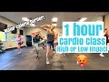 1 Hour Cardio Class | High or Low Impact