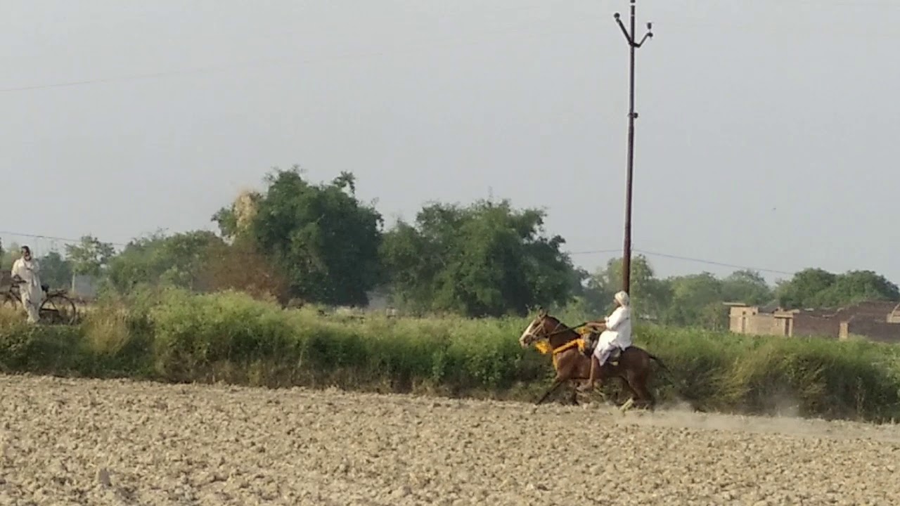 Munna Rai Munna Rai Ichuly home ground - YouTube