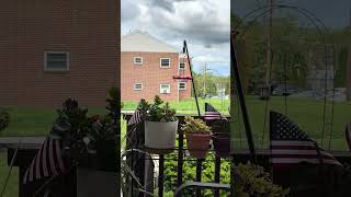 Sounds in the wind #shorts #ytshorts #viralshort #atmosphere #nature #wind #trees 4/30/26