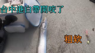 台中港北堤白帶魚開咬了,幸運撿到體型還可以的4指白帶魚 #南投小江 #台中港北堤 #白帶 #天亞