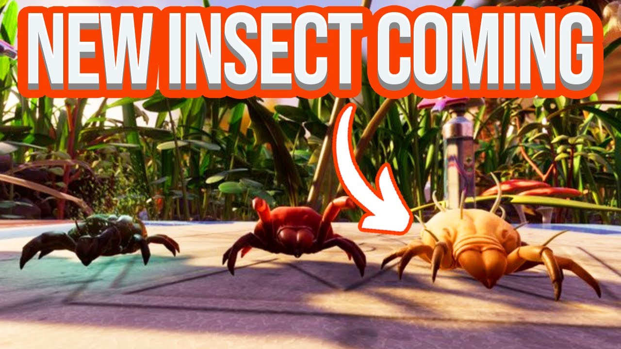 Grounded NEW Insect Revealed! Is It a Dust Mite? YouTube