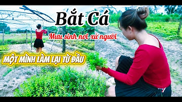 Cuộc Sống Mưu Sinh  ,Đi Bắt Cá Hái Rau Về Làm Bữa Cơm ,Gỏi Củ Cải Trắng Cá Khô ,Hào Hấp Xã Ngon