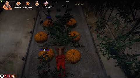 Buddha sees DOC down bad