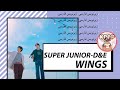 SUPER JUNIOR-D&E - WINGS | سوپرجونیور | Farsi |زیرنویس فارسی موزیک ویدیو ژاپنی | کیپاپ ساب |@KpopSub