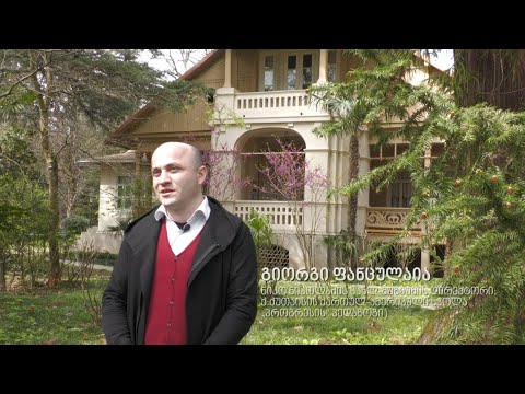 გიორგი ფანცულია ნიკო ნიკოლაძის ჩეთბოტის შესახებ