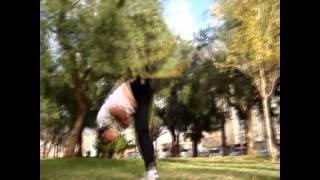 los tft sampler 2010