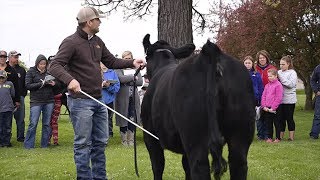 Showing & Grooming Clinic 2019 by Nasco Farm & Ranch 579 views 4 years ago 2 minutes, 55 seconds