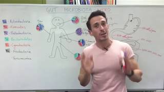 Gut microbiota (gut bacteria)  Introduction